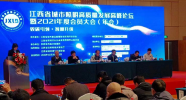 九游网页版页面登入界面-九游online(中国)受邀参加江西省城市照明高质量发展高峰论坛